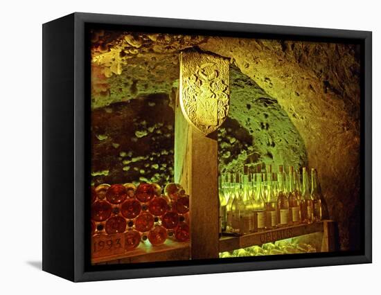 Oremus Winery in Tolcsva, Tokaj, Hungary-Per Karlsson-Framed Premier Image Canvas