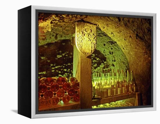 Oremus Winery in Tolcsva, Tokaj, Hungary-Per Karlsson-Framed Premier Image Canvas