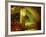 Oremus Winery in Tolcsva, Tokaj, Hungary-Per Karlsson-Framed Photographic Print