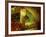 Oremus Winery in Tolcsva, Tokaj, Hungary-Per Karlsson-Framed Photographic Print