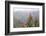 Oreocallis grandiflora, Cloud forest, 3500m altitude, Peru-Alex Hyde-Framed Photographic Print