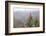 Oreocallis grandiflora, Cloud forest, 3500m altitude, Peru-Alex Hyde-Framed Photographic Print