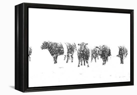 Oreos and Milk II-Aledanda-Framed Stretched Canvas