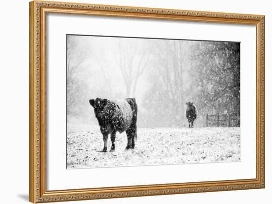 Oreos and Milk III-Aledanda-Framed Art Print