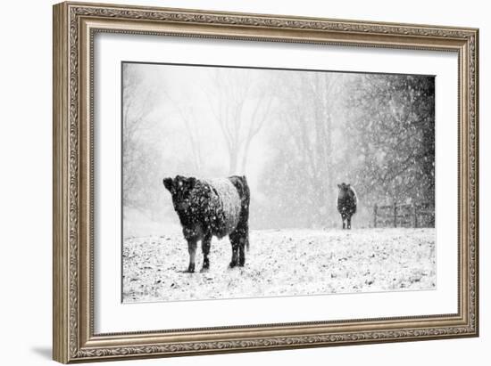 Oreos and Milk III-Aledanda-Framed Art Print