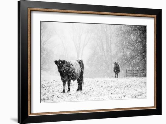 Oreos and Milk III-Aledanda-Framed Art Print