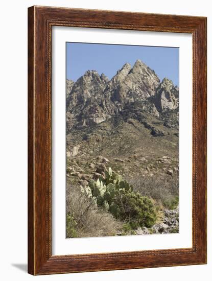 Organ Mountains Wilderness Rising Above Chihuahuan Desert Landscape, Southern New Mexico-null-Framed Photographic Print