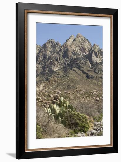 Organ Mountains Wilderness Rising Above Chihuahuan Desert Landscape, Southern New Mexico-null-Framed Photographic Print