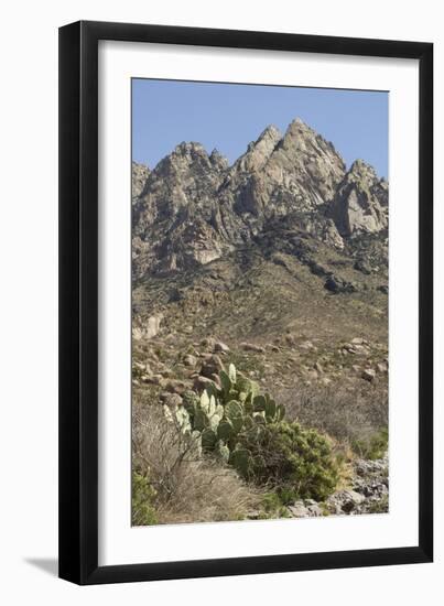 Organ Mountains Wilderness Rising Above Chihuahuan Desert Landscape, Southern New Mexico-null-Framed Photographic Print