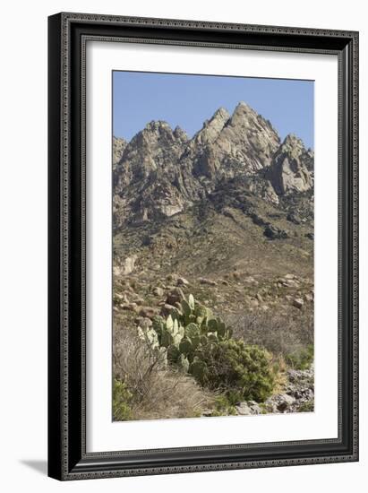 Organ Mountains Wilderness Rising Above Chihuahuan Desert Landscape, Southern New Mexico-null-Framed Photographic Print