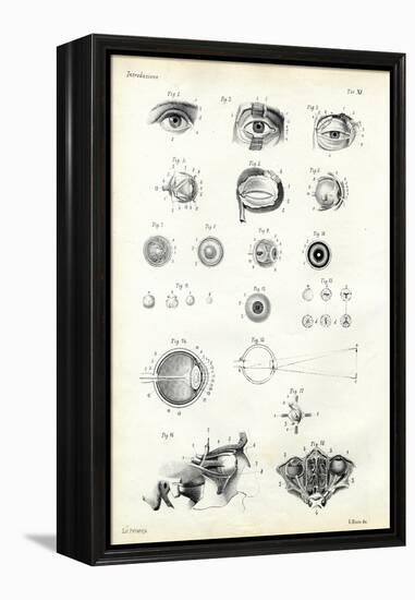 Organ of Seeing, 1863-79-Raimundo Petraroja-Framed Premier Image Canvas