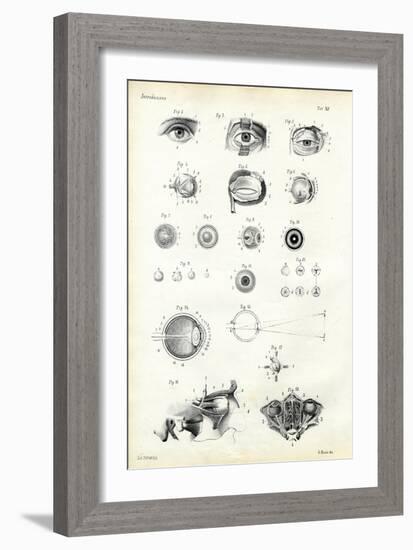 Organ of Seeing, 1863-79-Raimundo Petraroja-Framed Giclee Print