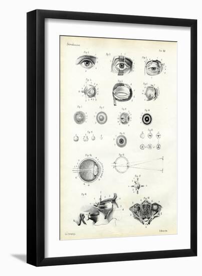 Organ of Seeing, 1863-79-Raimundo Petraroja-Framed Giclee Print