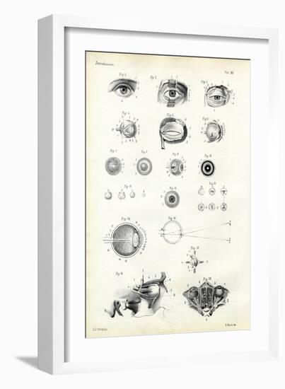 Organ of Seeing, 1863-79-Raimundo Petraroja-Framed Giclee Print