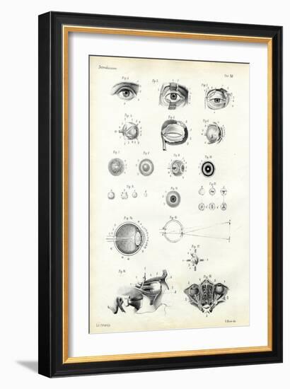 Organ of Seeing, 1863-79-Raimundo Petraroja-Framed Giclee Print