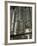 Organ, Oude Kirk (Old Church), Delft, Holland (The Netherlands)-Gary Cook-Framed Photographic Print