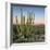 Organ Pipe Cactus at Dusk Crop-Alan Majchrowicz-Framed Photographic Print