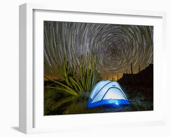 Organ pipe cactus at night with Geminid Meteor Shower, Organ Pipe Cactus National Monument, Arizona-Michael Nolan-Framed Photographic Print