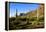 Organ Pipe Cactus National Monument, Ajo Mountain Drive in the Desert-Richard Wright-Framed Premier Image Canvas