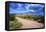 Organ Pipe Cactus National Monument, Ajo Mountain Drive in the Desert-Richard Wright-Framed Premier Image Canvas