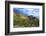 Organ Pipe Cactus National Monument, Ajo Mountain Drive in the Desert-Richard Wright-Framed Photographic Print