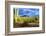 Organ Pipe Cactus National Monument, Ajo Mountain Drive in the Desert-Richard Wright-Framed Photographic Print