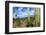 Organ Pipe Cactus National Monument, Ajo Mountain Drive in the Desert-Richard Wright-Framed Photographic Print