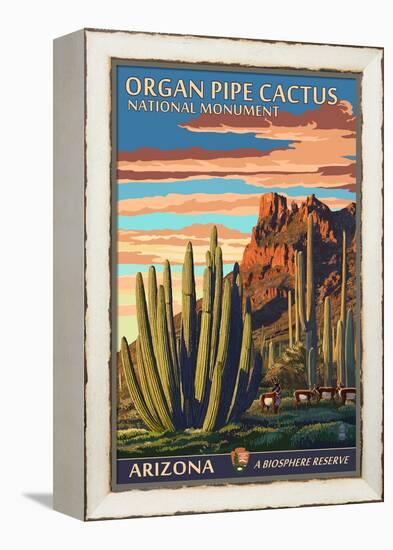 Organ Pipe Cactus National Monument, Arizona-Lantern Press-Framed Stretched Canvas
