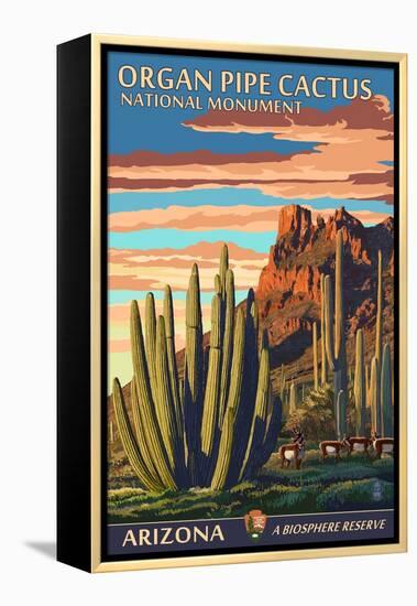 Organ Pipe Cactus National Monument, Arizona-Lantern Press-Framed Stretched Canvas