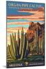 Organ Pipe Cactus National Monument, Arizona-Lantern Press-Mounted Art Print