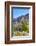 Organ Pipe Cactus National Monument-Anton Foltin-Framed Photographic Print