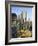 Organ Pipe Cactus Nm, Brittlebush and Organ Pipe Cactus in the Ajo Mts-Christopher Talbot Frank-Framed Photographic Print