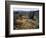 Organ Pipe Cactus Nm, Organ Pipe Cactus and Desert Wildflowers-Christopher Talbot Frank-Framed Photographic Print