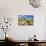 Organ Pipe Cactus NM, Saguaro and Cholla Cactus in the Ajo Mountains-Richard Wright-Photographic Print displayed on a wall