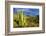 Organ Pipe Cactus NM, Saguaro and Organ Pipe Cactus to the Ajo Mts-Richard Wright-Framed Photographic Print