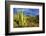 Organ Pipe Cactus NM, Saguaro and Organ Pipe Cactus to the Ajo Mts-Richard Wright-Framed Photographic Print