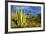 Organ Pipe Cactus NM, Saguaro and Organ Pipe Cactus to the Ajo Mts-Richard Wright-Framed Photographic Print