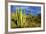 Organ Pipe Cactus NM, Saguaro and Organ Pipe Cactus to the Ajo Mts-Richard Wright-Framed Photographic Print