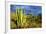 Organ Pipe Cactus NM, Saguaro and Organ Pipe Cactus to the Ajo Mts-Richard Wright-Framed Photographic Print