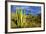 Organ Pipe Cactus NM, Saguaro and Organ Pipe Cactus to the Ajo Mts-Richard Wright-Framed Photographic Print