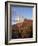 Organ Pipe Cactus Nm, Saguaro Cacti in the Ajo Mountains-Christopher Talbot Frank-Framed Photographic Print