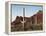 Organ Pipe Cactus Nm, Saguaro Cacti in the Ajo Mountains-Christopher Talbot Frank-Framed Premier Image Canvas