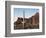 Organ Pipe Cactus Nm, Saguaro Cacti in the Ajo Mountains-Christopher Talbot Frank-Framed Photographic Print