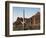 Organ Pipe Cactus Nm, Saguaro Cacti in the Ajo Mountains-Christopher Talbot Frank-Framed Photographic Print