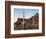 Organ Pipe Cactus Nm, Saguaro Cacti in the Ajo Mountains-Christopher Talbot Frank-Framed Photographic Print