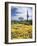 Organ Pipe Cactus Nm, Saguaro Cactus and Desert Wildflowers-Christopher Talbot Frank-Framed Photographic Print