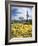 Organ Pipe Cactus Nm, Saguaro Cactus and Desert Wildflowers-Christopher Talbot Frank-Framed Photographic Print