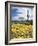 Organ Pipe Cactus Nm, Saguaro Cactus and Desert Wildflowers-Christopher Talbot Frank-Framed Photographic Print