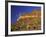 Organ Pipe Forest with Saguaro, Organ Pipe Cactus National Monument, Arizona, USA-Jamie & Judy Wild-Framed Photographic Print