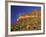 Organ Pipe Forest with Saguaro, Organ Pipe Cactus National Monument, Arizona, USA-Jamie & Judy Wild-Framed Photographic Print